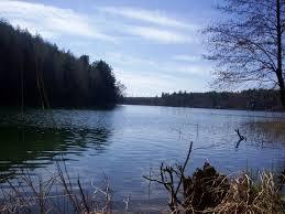 Dłużek