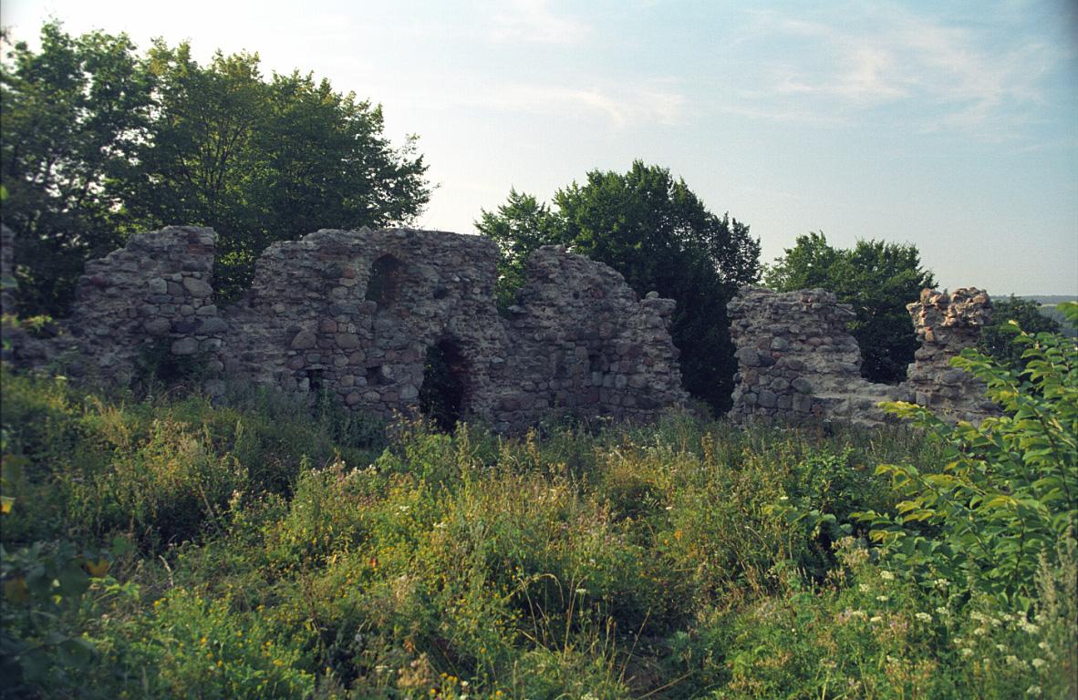 Zamek w Kurzętniku